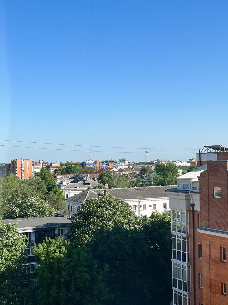 Apartment зелений оксамит 1-к у центрі - мережа Helen *